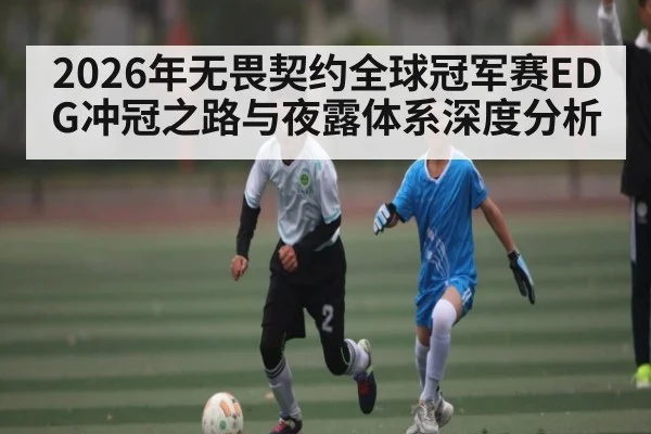 2026年无畏契约全球冠军赛EDG冲冠之路与夜露体系深度分析